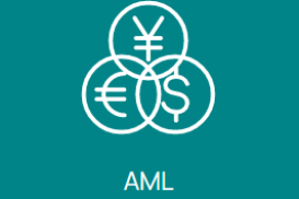 AML for Financial Services 22.0