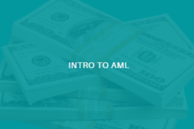 AML Introduction 2025